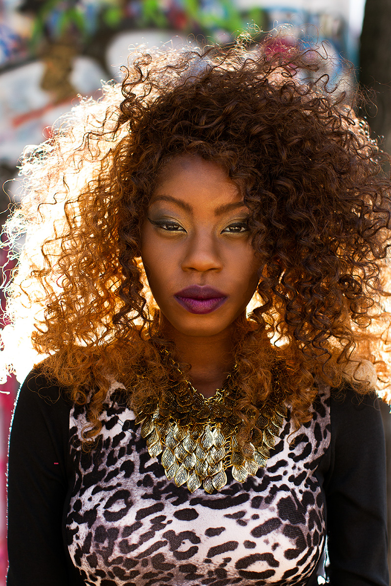 sized/lioness portrait